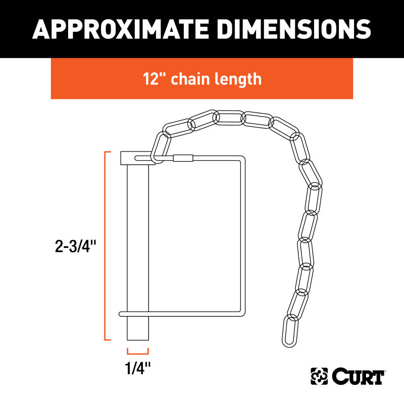 Curt 1/4in Safety Pin w/12in Chain (2-3/4in Pin Length)