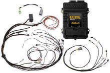Load image into Gallery viewer, Haltech Elite 1500 Terminated Harness ECU Kit w/ Square EV1 Injector Connectors