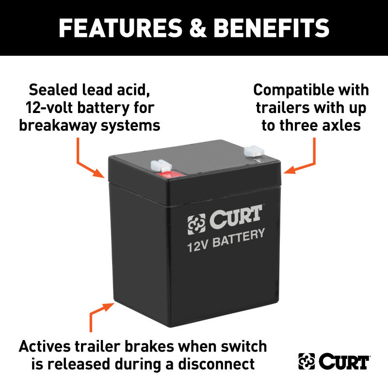 Curt Breakaway Battery