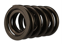 Load image into Gallery viewer, Ford Racing Replacement Valve Springs (TVS-1734) - Set Of 8