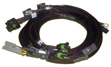 Load image into Gallery viewer, Haltech Big Block/Small Block Ford V8 8 Channel Individual High Output IGN-1A Inductive Coil Harness