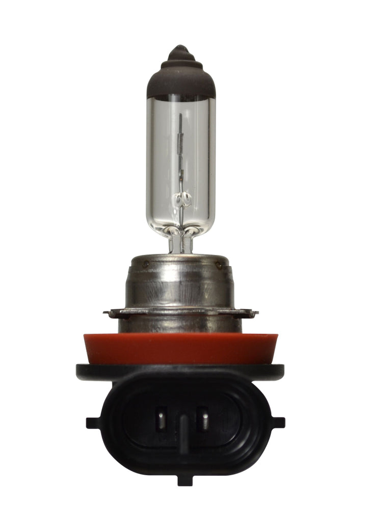 Hella H16 Halogen Bulb