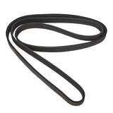 Omix Serpentine Belt 4.2L 87-90 Jeep Wrangler YJ