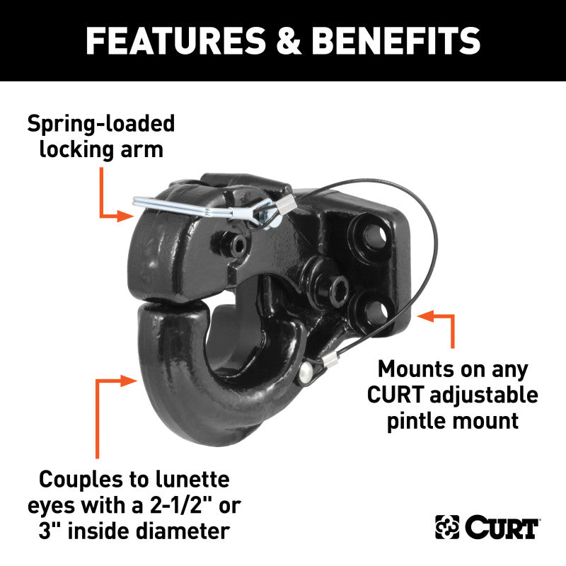 Curt Pintle Hook (10000lbs 2-1/2in or 3in Lunette Eyes)