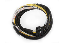 Load image into Gallery viewer, Haltech HPI6 High Power Igniter 2m Flying Lead Kit (Loom Only)