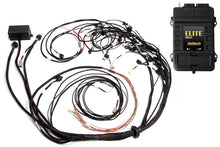 Load image into Gallery viewer, Haltech Elite 2500 Terminated Harness ECU Kit w/ EV1 Injector