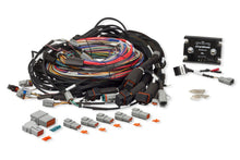 Load image into Gallery viewer, Haltech Elite 2500 &amp; REM 16 Sequential Injector Integrated 8ft Universal Wire-In Harness