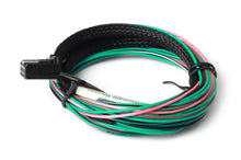 Load image into Gallery viewer, Haltech 3ft TCA4 Quad Channel Thermocouple Amplifier Flying Lead Harness