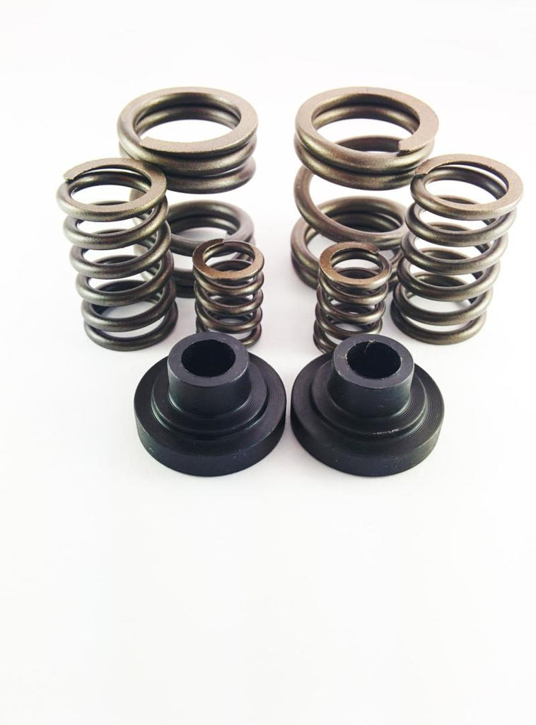 DDP Dodge 94-98 P-Pump 3000 & 4000 RPM Governor Spring Kit