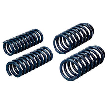 Load image into Gallery viewer, Hotchkis 05-09 Chrysler 300C SRT-8 / 06-09 Dodge Charger SRT8 Sport Coil Springs