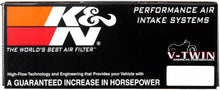 Load image into Gallery viewer, K&amp;N Red Intake System for Harley-Davidson