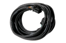 Load image into Gallery viewer, Haltech CAN Cable 8 Pin Black Tyco to 8 Pin Black Tyco 3000mm (120in)