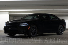 Load image into Gallery viewer, Diode Dynamics 15-21 Dodge Charger LED Sidemarkers for - Smoked (set)