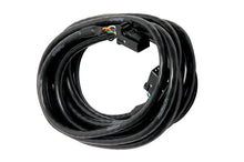 Load image into Gallery viewer, Haltech CAN Cable 8 Pin Black Tyco to 8 Pin Black Tyco 150mm (6in)