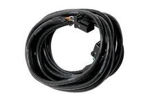 Load image into Gallery viewer, Haltech CAN Cable 8 Pin Black Tyco to 8 Pin Black Tyco 600mm (24in)