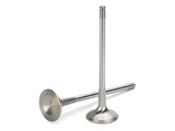 Supertech M/F Duratec 2.3L Inconel Exhaust Valve +1mm Oversize-Set of 8 (6MM stem with tapered tip)