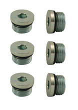 Load image into Gallery viewer, Moroso Pipe Plug w/O-Ring -8An 3/4in-16 - Steel - 6 Pack