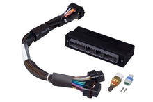 Load image into Gallery viewer, Haltech Mazda Miata NA 1.6/1.8 w/2 Plug 2 Row ECU Elite 1000/1500 Plug-n-Play Adaptor Harness