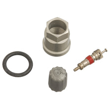 Load image into Gallery viewer, Schrader TPMS Service Pack - Chevrolet/Chrysler/Plymouth - 25 Pack