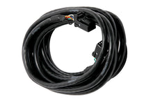 Load image into Gallery viewer, Haltech CAN Cable 8 Pin Black Tyco to 8 Pin Black Tyco 2400mm (92in)
