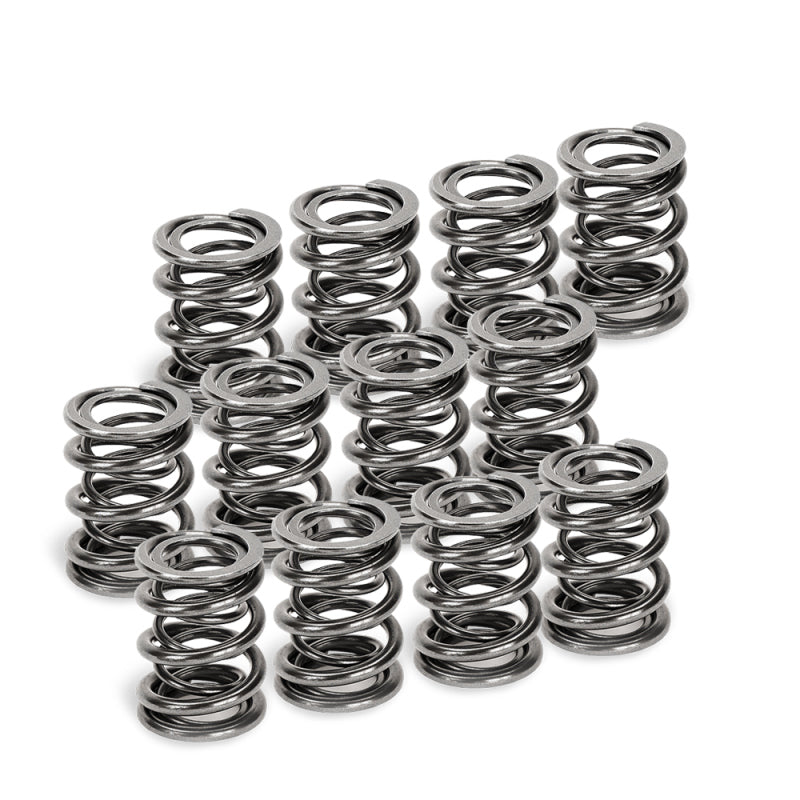 Supertech VW VR6 Dual Valve Spring - Set of 12